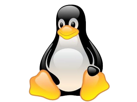 linux systeembeeer